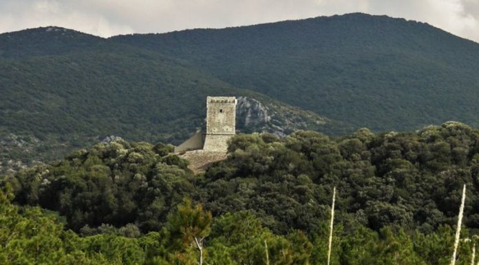 Parco Maremma, via libera a bilancio esercizio 2019