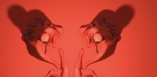 Negramaro, disco d’oro per “Contatto”