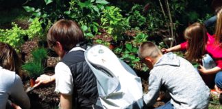 Ok a programma educazione ambientale aree protette in Lombardia