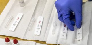 Coronavirus, in Sardegna 205 nuovi casi e 4 decessi