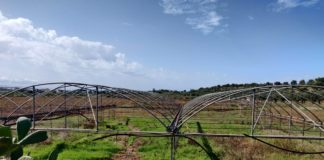 “Coltiviamo Agricoltura Sociale”, premiati i tre progetti vincitori