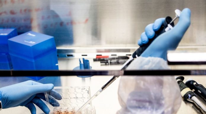 Farmaci, le terapie per le malattie rare motore dell’innovazione