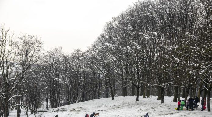 Sci, in Toscana richiesta cambio di criteri distribuzione finanziamenti
