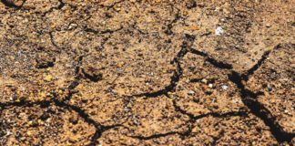 10 mln per edifici pubblici più sicuri in Emilia Romagna contro sisma