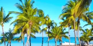 Alpitour apre i primi corridoi “Covid-Tested”