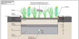 Gruppo Cap al Festival “The Nature of Cities”