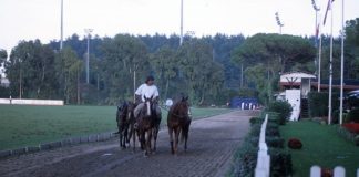 Sardegna, al via i pagamenti degli aiuti al comparto ippico
