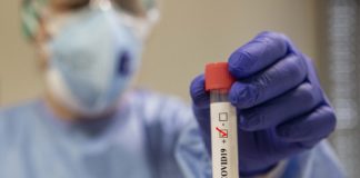 Coronavirus, 5 decessi e 1.526 nuovi positivi in Piemonte