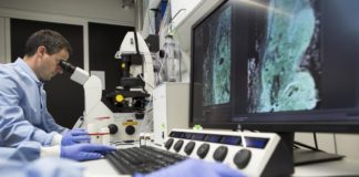 Covid, in netto calo le diagnosi di malattie rare