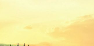 Bilancio esercizio 2021 Toscana promozione, parere favorevole