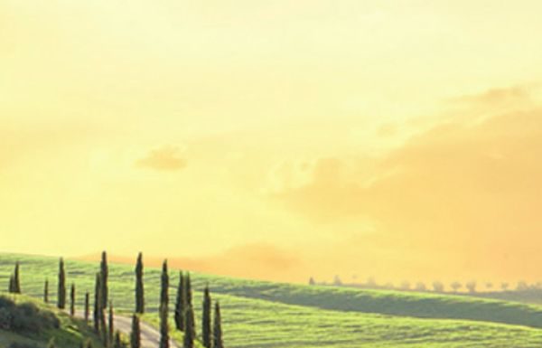 Bilancio esercizio 2021 Toscana promozione, parere favorevole