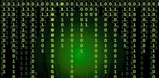 Il virus Michelangelo compie 30 anni