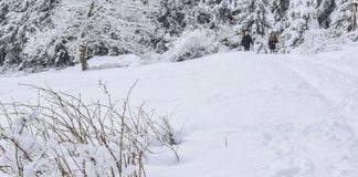 Pronti i bandi per ristori a maestri sci e pro loco in Toscana