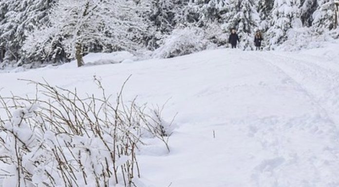 Pronti i bandi per ristori a maestri sci e pro loco in Toscana