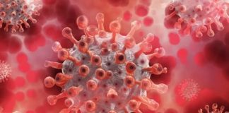 Coronavirus, 6 decessi e 1.155 positivi in Piemonte