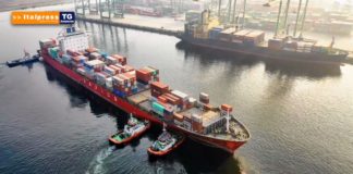 Dall’Italpress un nuovo Tg dedicato alla sostenibilità e all’ambiente