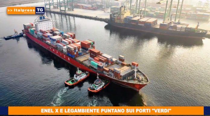 Dall’Italpress un nuovo Tg dedicato alla sostenibilità e all’ambiente