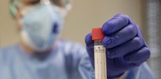 Coronavirus, in Sardegna 70 nuovi casi, tasso positività dello 0,6%