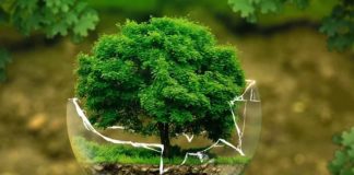 “Costruiamo insieme Sardegna 2030”, al via tavolo sviluppo sostenibile