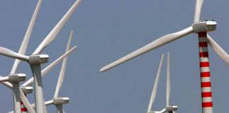 Nasce GreenIt, jv Eni-Cdp Equity per produzione da rinnovabili