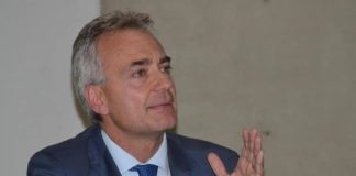 Avanza il parassita del pino, la Calabria chiede aiuto al ministero