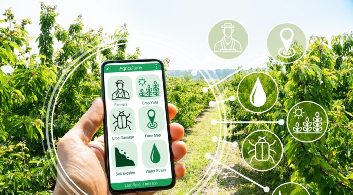 Venture capital, Enpaia “Puntiamo sull’agritech investendo 15 mln”