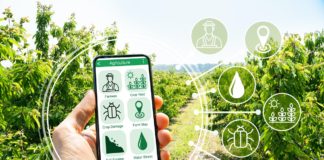 Venture capital, Enpaia “Puntiamo sull’agritech investendo 15 mln”