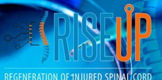Nuovo metodo per rigenerare le lesioni del midollo spinale