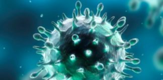 In Puglia ok a farmaci anticorpi monoclonali per cura Covid