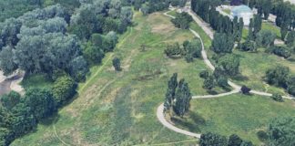 A Torino un nuovo bosco urbano da 2.100 alberi