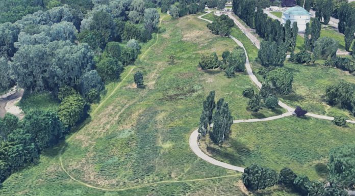 A Torino un nuovo bosco urbano da 2.100 alberi