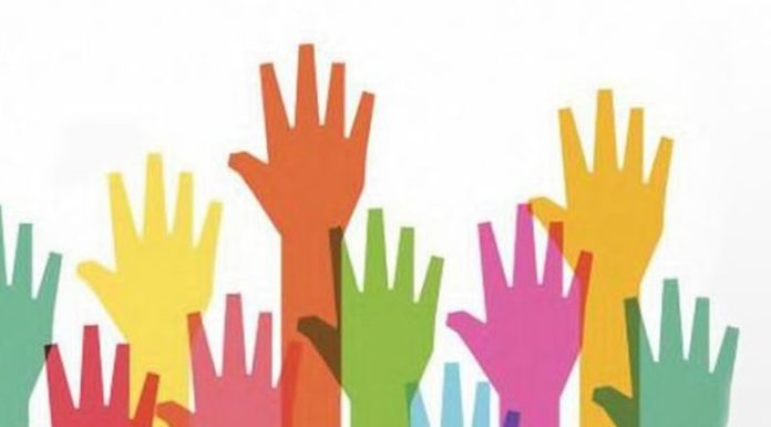 Un nuovo garante dei diritti e altre nomine nelle Marche