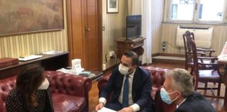 Forestazione calabrese, Gallo al Mef “Il Governo ripristini i fondi”