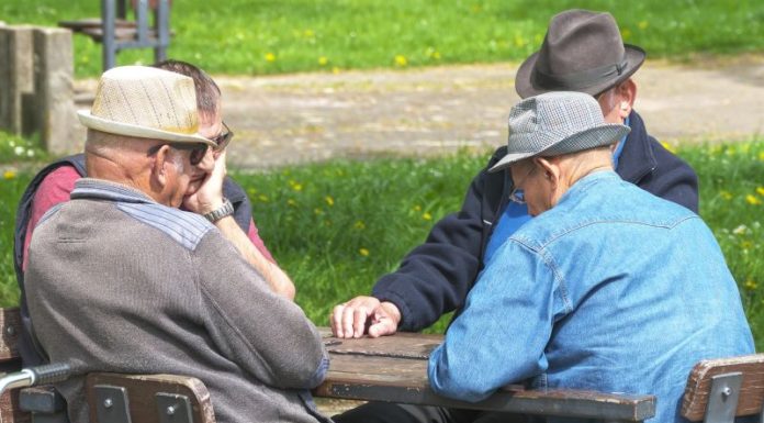 A inizio anno 17,8 milioni di pensioni, 59,6% sotto i 750 euro