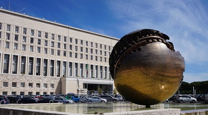 Cooperazione internazionale e lotta agli illeciti nell’era post Covid