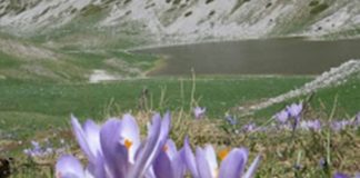 Illustrato in commissione Ambiente piano riserva naturale Duchessa