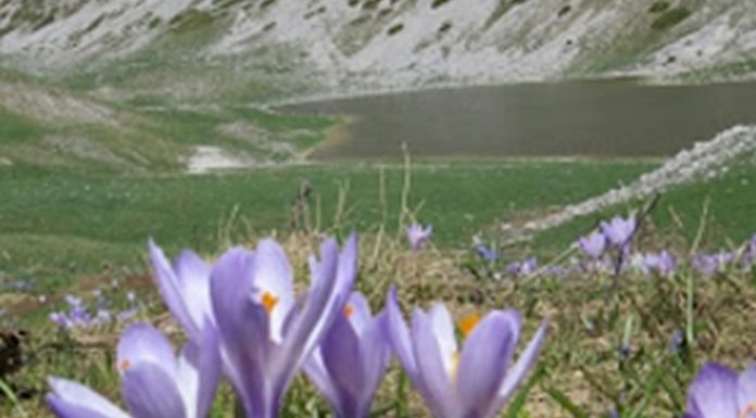 Illustrato in commissione Ambiente piano riserva naturale Duchessa