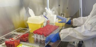 Coronavirus, in Sardegna 205 nuovi casi e 4 decessi