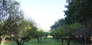 Un “Circolo Virtuoso” per l’edilizia sociale