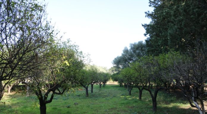 Un “Circolo Virtuoso” per l’edilizia sociale