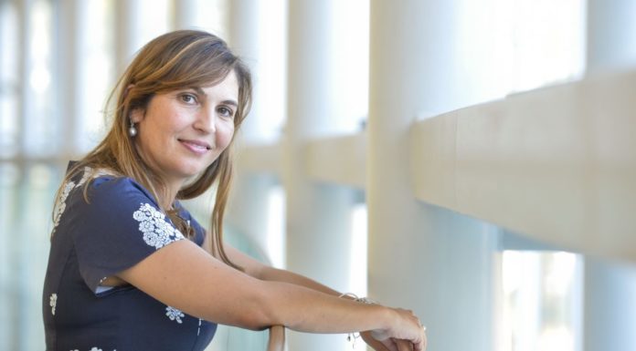 Omofobia, Tardino “Da Pd e M5s nessuna lezione, persa occasione su diritti”