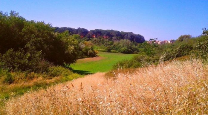 Tenuta di Acquafredda, approvato il piano della riserva