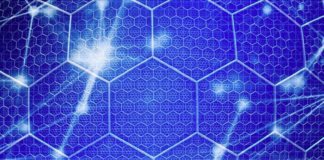 Siae, accordo con Algorand per gestire diritto d’autore con blockchain