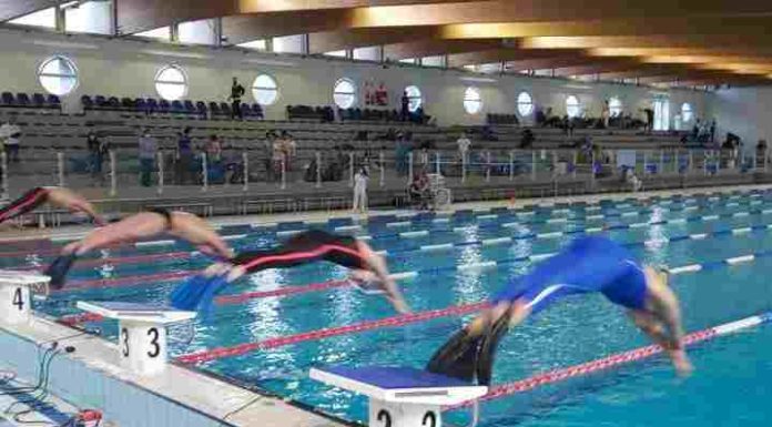 Belle Arti trionfa agli Assoluti di pinnato