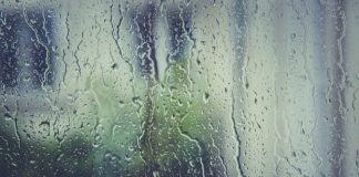 Come scegliere un deumidificatore come scegliere il deumidificatore