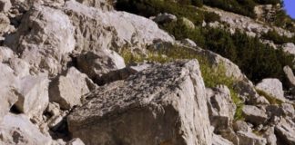 Rischi naturali in Calabria, Savaglio “Scienza supporto per istituzioni»