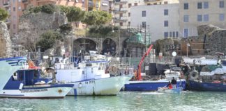 Pesca. Toscana, contributi e interventi per perdite e ripartenza
