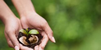 La cialda, per una pausa caffè che rispetta la natura