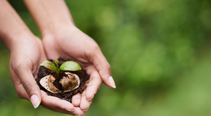 La cialda, per una pausa caffè che rispetta la natura