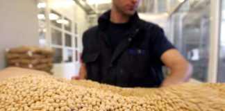 Anga e Confagricoltura, pianificazione e policy per mercato della soia